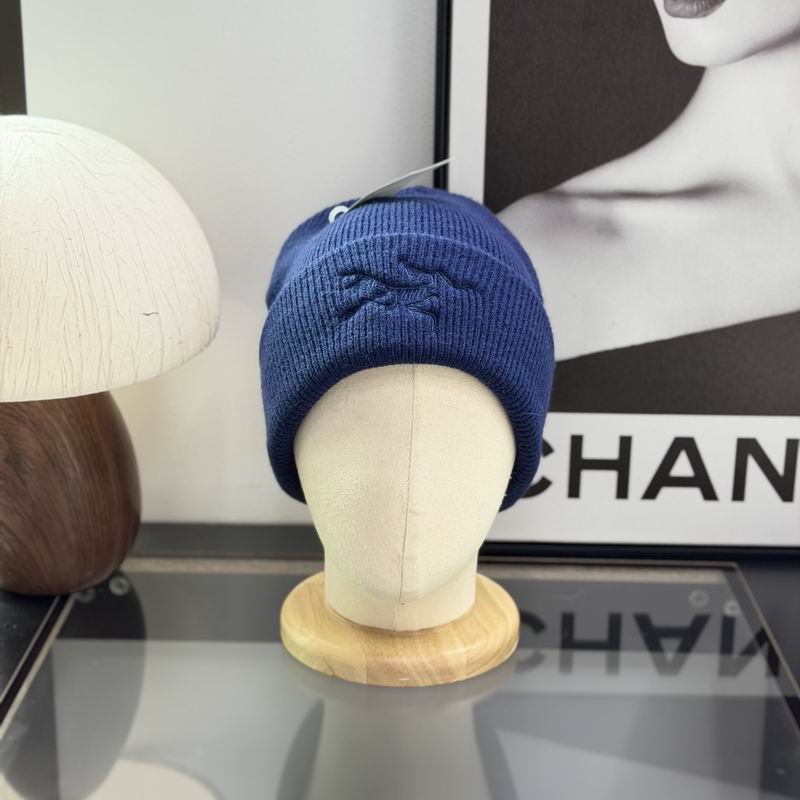 Arcteryx Beanie ID:20261020-31